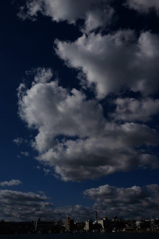 f0365212_17282518.jpg
