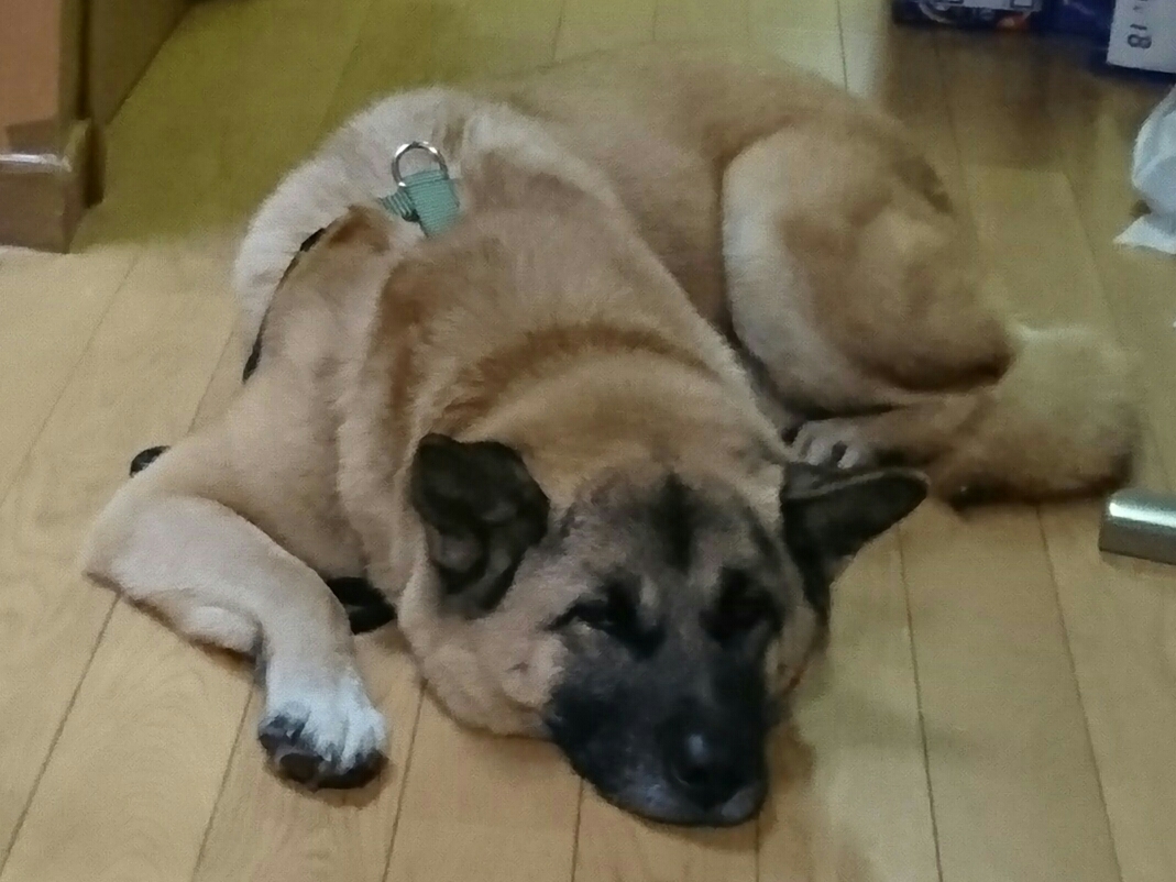 b0274815_00581090.jpg