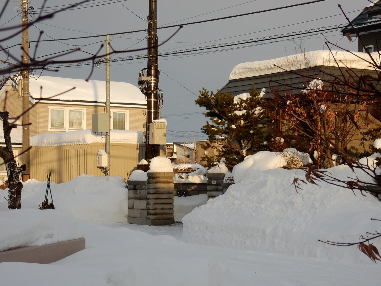 今年もあと2時間と1秒ほどになりました_c0025115_22064949.jpg