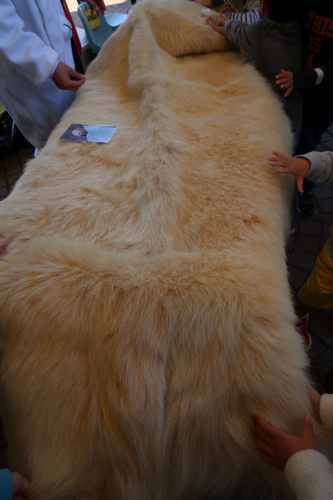 e0163618_20345062.jpg