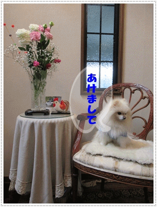 b0167519_2357031.gif