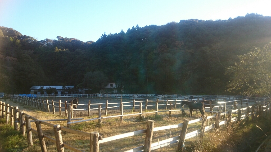 b0187620_20490034.jpg