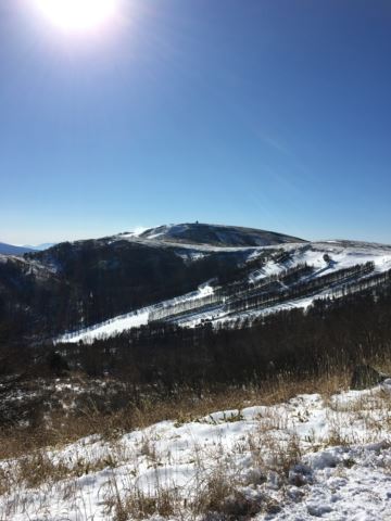 c0114121_2348444.jpg