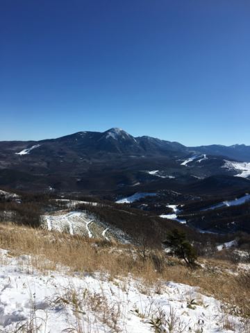 c0114121_23485596.jpg
