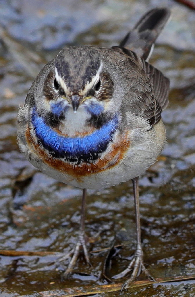 b0179023_20122150.jpg