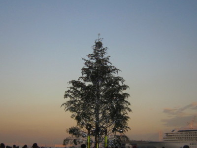 d0162225_00364771.jpg