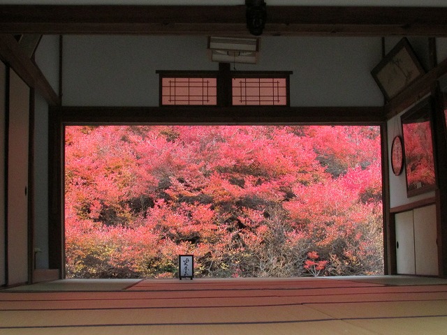 今年の思い出、振り返る(その4)最終回_e0321325_1213361.jpg