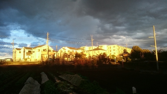 c0074332_2234383.jpg
