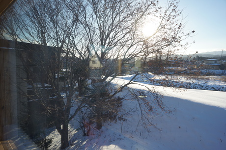 d0217833_1627748.jpg