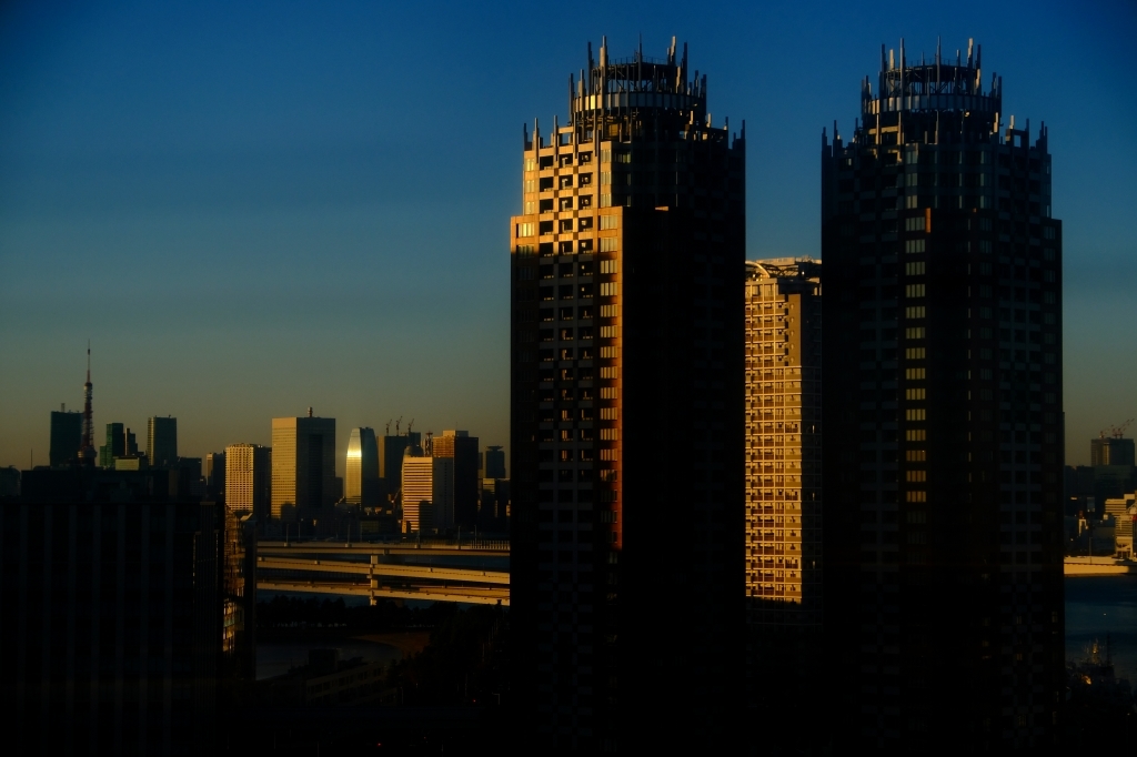 2016最後の光　_f0050534_18292158.jpg