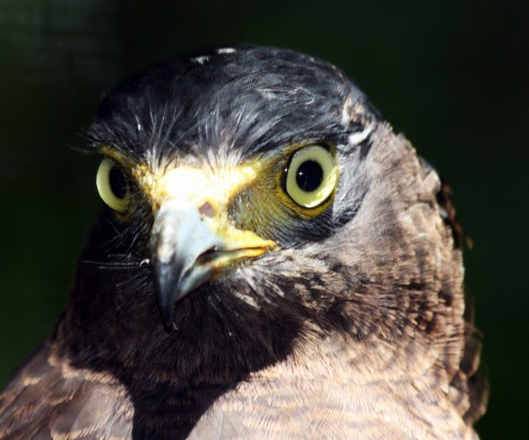 b0213435_17055216.png