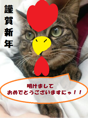 謹賀新年_e0268036_1334829.png