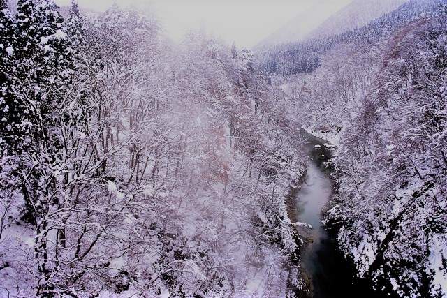 晴耕雨読_c0176838_1435369.jpg