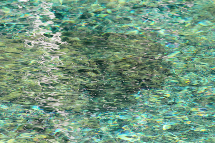 e0083238_8354839.jpg