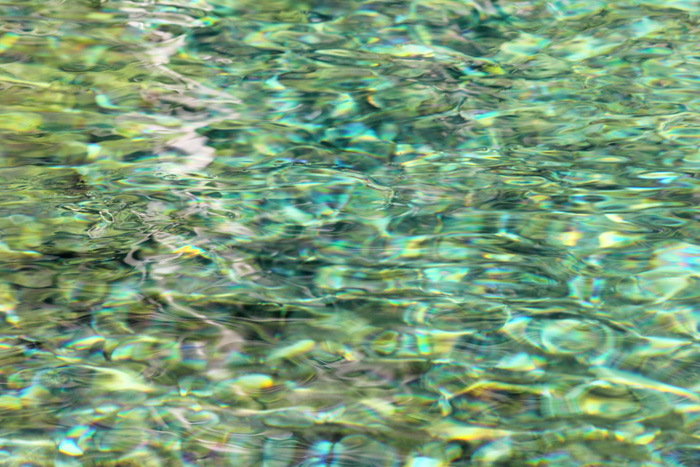 e0083238_8355927.jpg