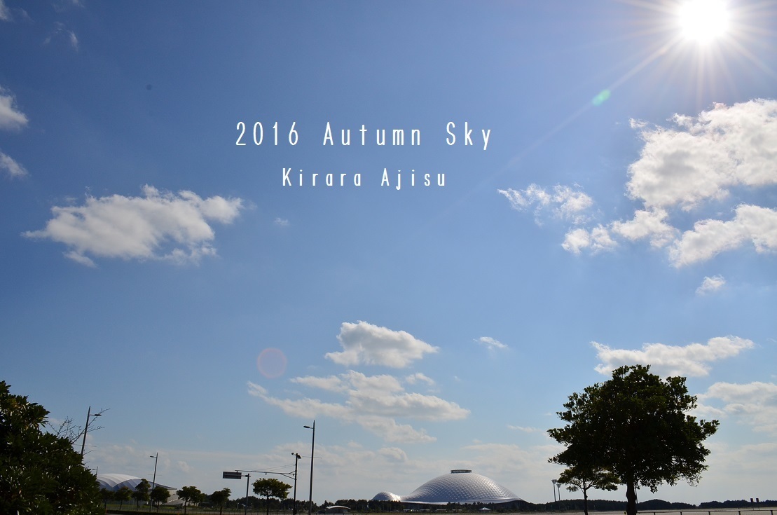 ”振り返る2016年下半期...７月〜12月\"_d0153941_11411989.jpg