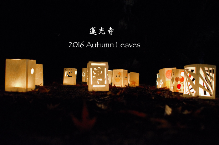 ”振り返る2016年下半期...７月〜12月\"_d0153941_11452564.jpg