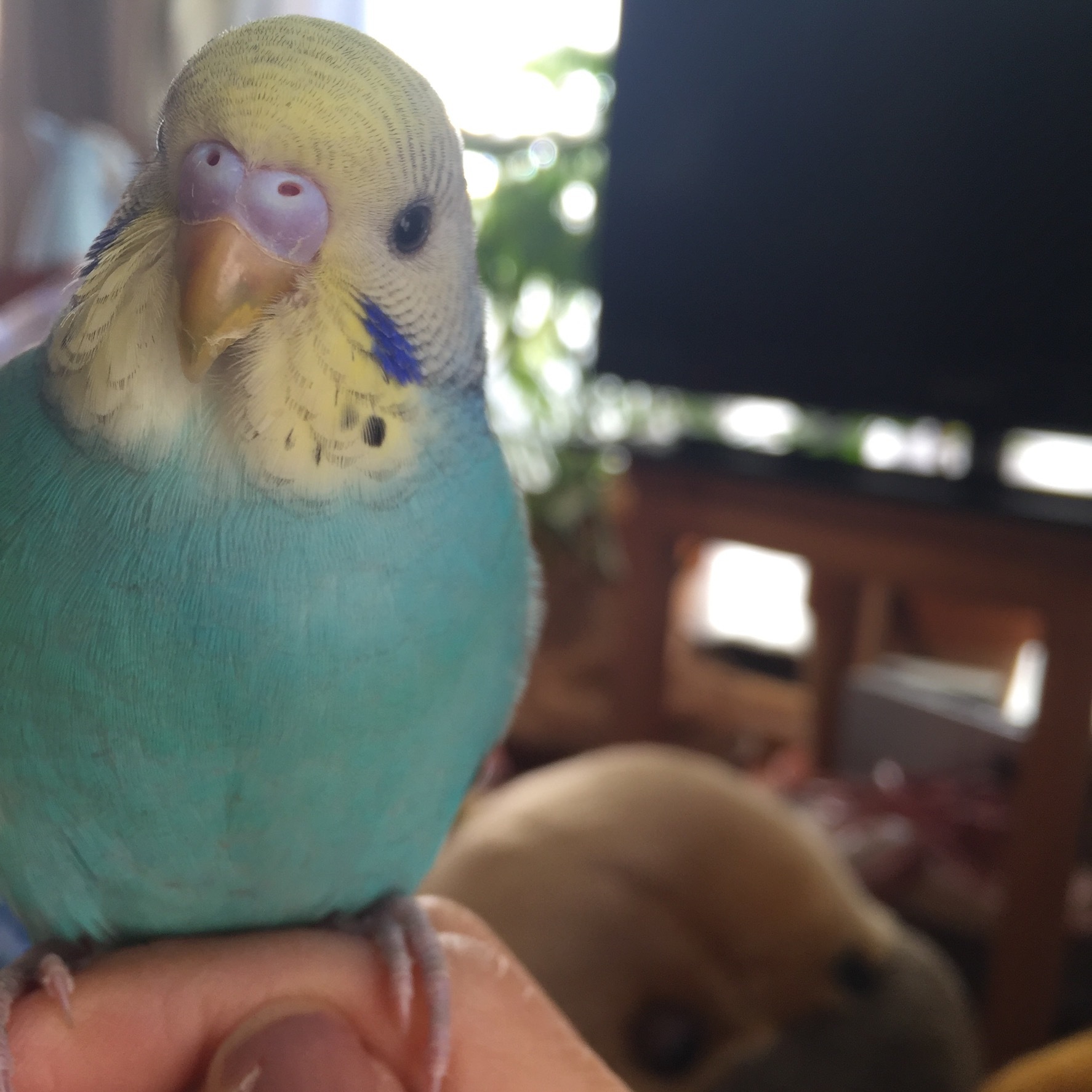f0318145_17161110.jpeg