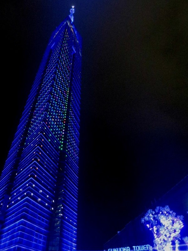 c0011649_228827.jpg