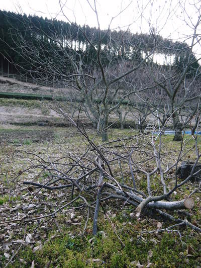 今年一年を振り返って 2016_a0254656_17144786.jpg