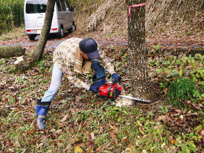 今年一年を振り返って　2016_a0254656_17481785.jpg