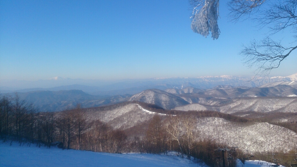 a0208560_23443432.jpg