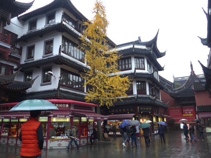 上海出張へ行く④ ~南翔饅頭店の小籠包~_f0232060_023332.jpg
