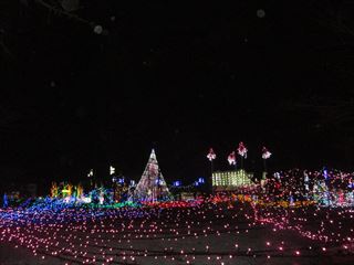 d0045362_9394666.jpg
