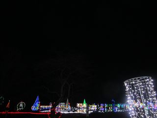 d0045362_940793.jpg