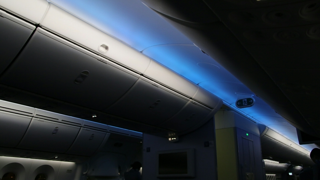 B787-8型で帰路へ ANA_d0202264_14082381.jpg
