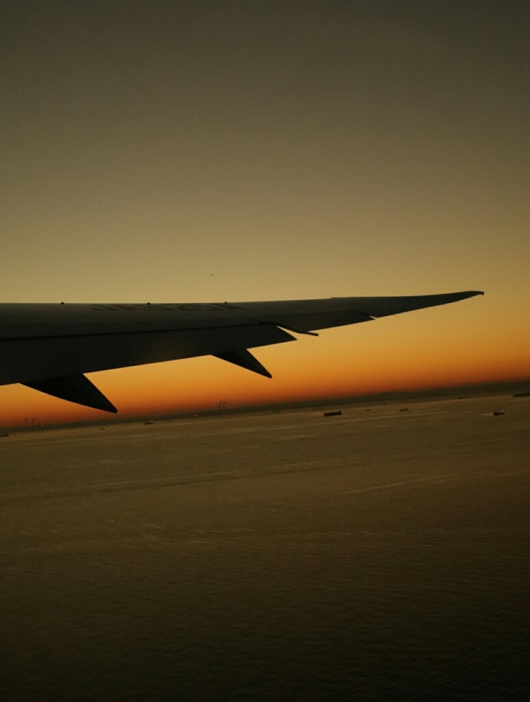 B787-8型で帰路へ ANA_d0202264_14104850.jpg