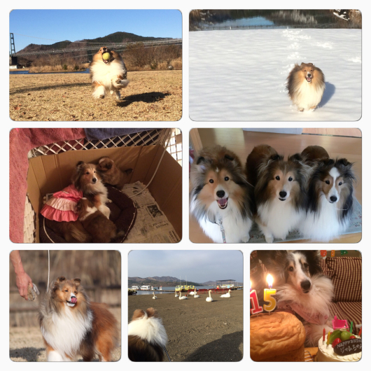 今年もおわり_f0126965_20222670.jpg