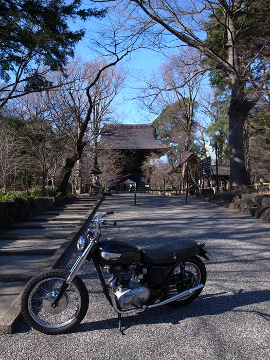 c0227366_17445930.jpg