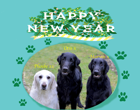 A Happy New Year!!!_f0367473_09163841.png