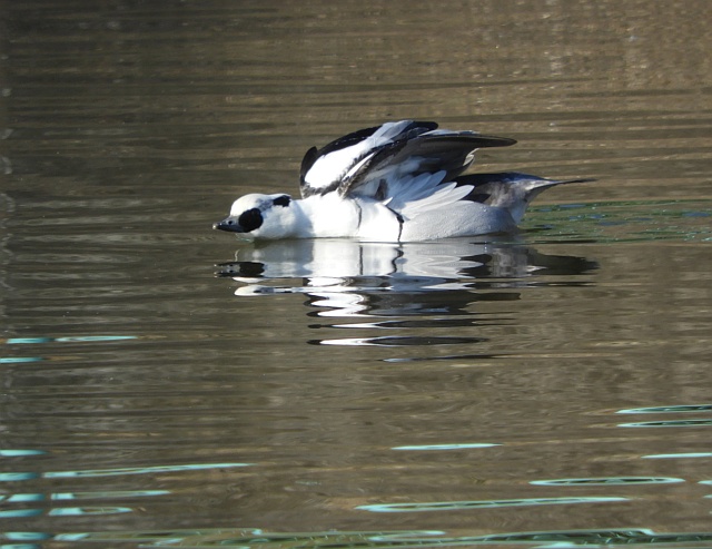 f0378979_14352358.jpg