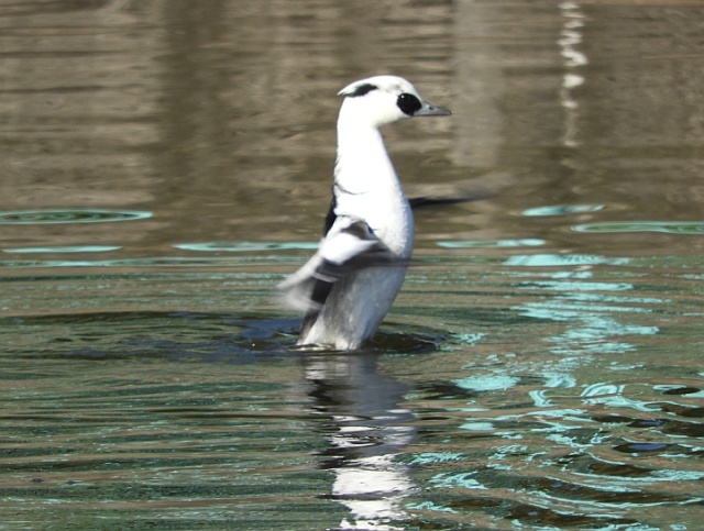 f0378979_1436770.jpg