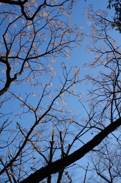 c0324382_13172940.jpg