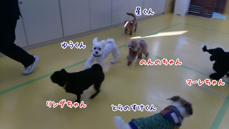 年越しまであと…_f0357682_20593718.jpg