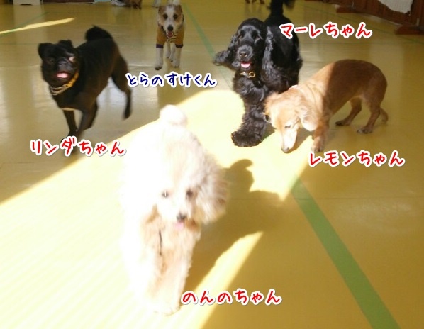 年越しまであと…_f0357682_20593757.jpg