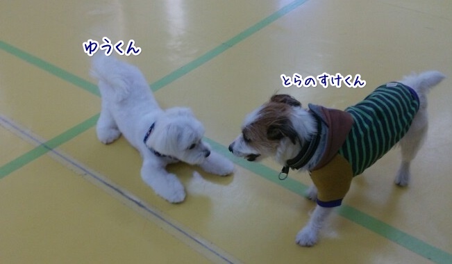 年越しまであと…_f0357682_20593795.jpg