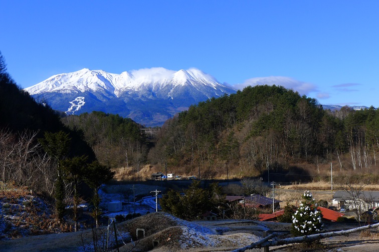 １２月３１日、「夕刊」　風邪もひかないで。。。_a0130586_19123429.jpg