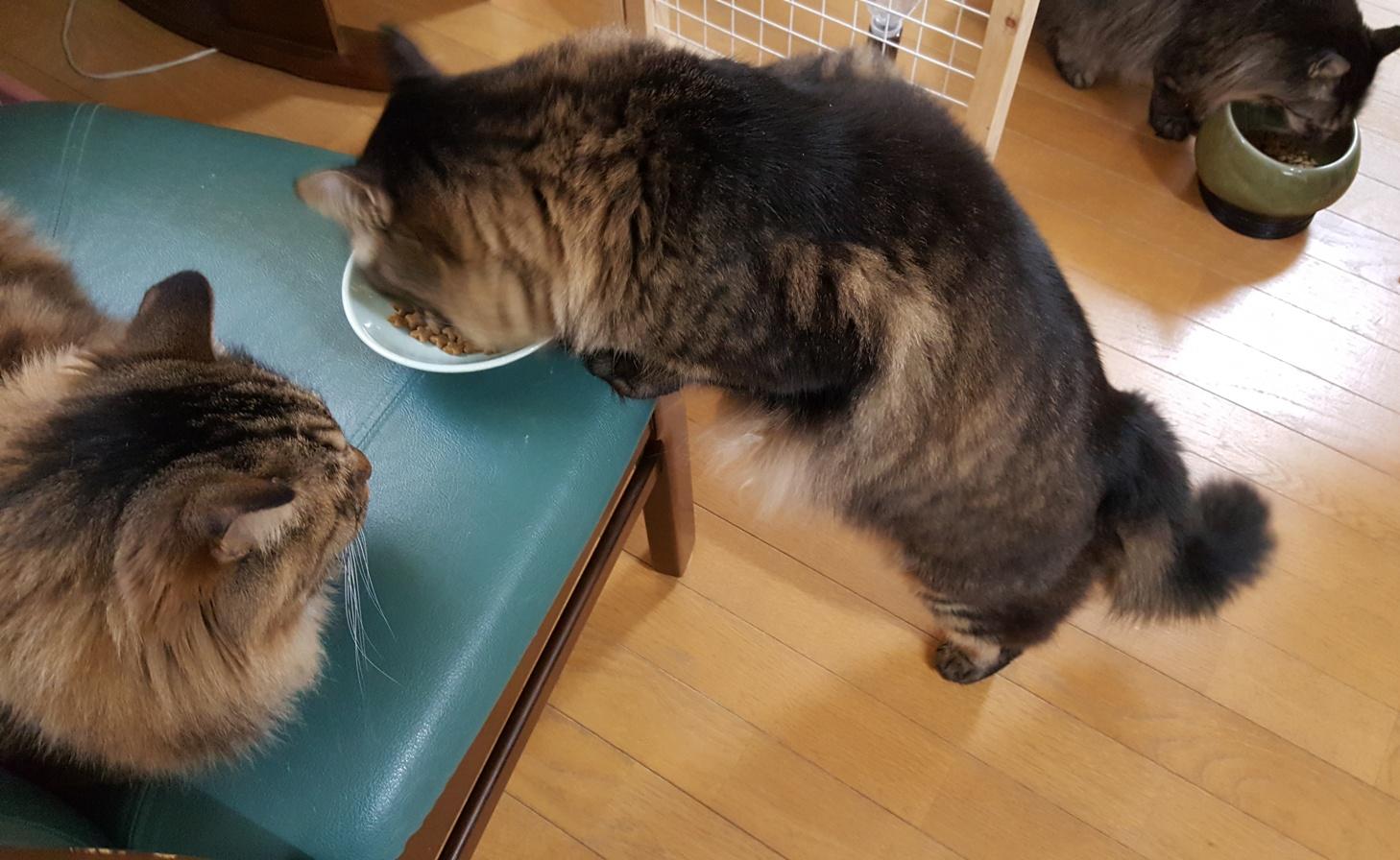 来年もよろしくお願いいたします!_c0213598_9185075.jpg