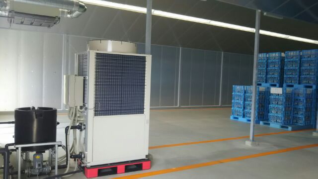 e0317698_11155633.jpg