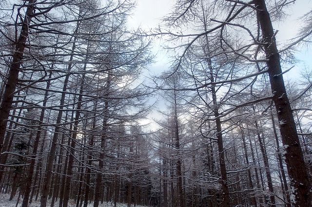 e0137200_17304122.jpg