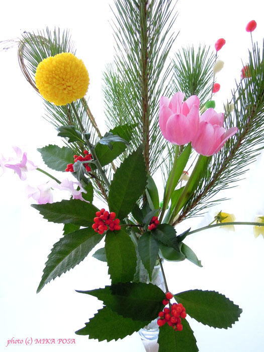 ☆HAPPY HAPPY NEW YEAR 2017☆_b0164803_17343533.jpg
