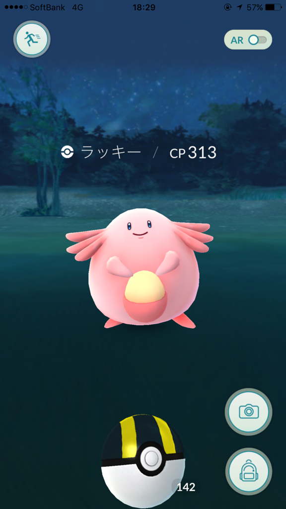 ポケモンGO Have a ラッキー year!!_e0363908_20535211.jpg