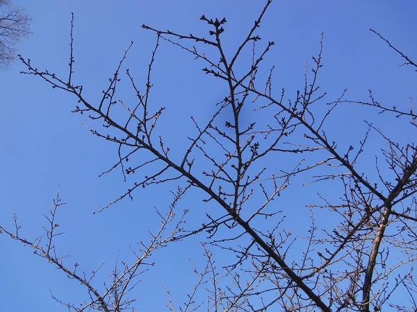 f0057509_11561563.jpg