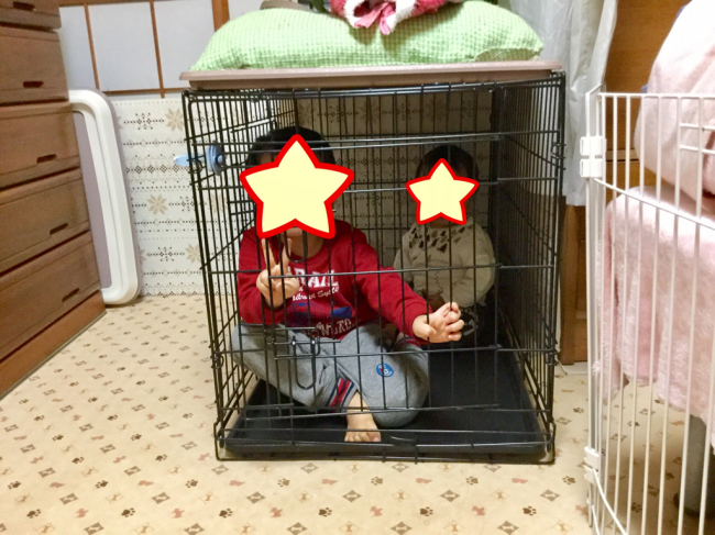 はろー 2017_f0329311_18440957.jpg