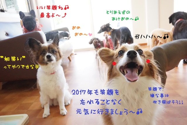 2017年の始まり始まり～(*´∀｀*）♪_d0220513_14371923.jpg