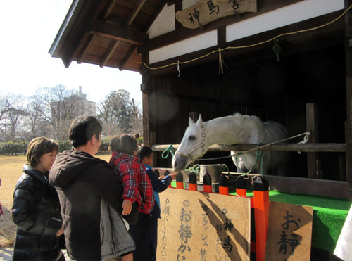 初もうで 上賀茂神社_e0048413_17525480.jpg